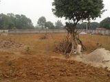 Bán Gấp 840m2 Đất Vườn Tại Đa Phước, Bình Chánh Giá 2.5 Tỷ.