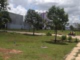 Đáo Hạn Ngân Hàng Sang Lỗ 280M2 Đất Thổ Cư Giá 320 Triệu, Liền Kề Tp.Thủ Dầu Một