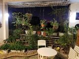 Đẹp Có Quyền! 46m2 Phân Lô Hoàng Quốc Việt Cầu Giấy Ở Ngay Ô Tô 8 Tỷ.