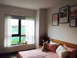 Cần Bán Gấp Nhà Pháo Đài Láng 4 Tầng, Giá Chỉ 3.6 Tỷ.
