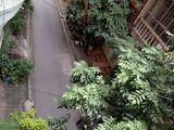 Phân Lô Vip Phố Nguyên Hồng Quận Đống Đa, 50M2, 5 Tầng Mới Đẹp, Ngõ Ô Tô Tránh Có Vỉa Hè, 10.5 Tỷ.