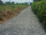 Cần Sang Lại 140 M2 Giá 570Tr Mặt Tiền Đường Ô Tô Xã Hưng Long, Bình Chánh.