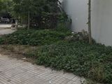 Cho Thuê Đất Khu Công Ích .dt 5X18M. Giá 5 Tr/tháng .Phú Mỹ .Q7