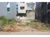 Nhượng Lại 130M2 Thổ Cư Ở Ngay Mt Mai Bá Hương - Bình Chánh - Shr - 1 Tỷ