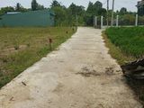 Bán Đất Chính Chủ, Shr, Sang Tên Ngay, Cạnh Kcn Tân Kim