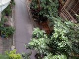 Đẹp Hiếm Nguyên Hồng Đống Đa 51m2*5t Mt 5.2m Vỉa Hè Kinh Doanh Nhỉnh 10 Tỷ.