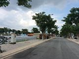 Đất Mặt Tiền Tl9 Cần Bán Gấp