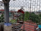 Ô Tô Đỗ Cửa, Nhà Đẹp, Ngõ Đẹp, An Sinh Đỉnh, 3.4 Tỷ
