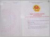Chính Chủ Cần Cho Thuê Chung Cư Mini 68 Cầu Giấy Vào Ở Ngay