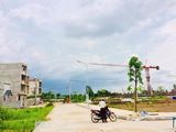 Đất Mặt Tiền Kinh Doanh , P An Phú Đông Quận 12 Sổ Riêng