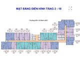 Dòng Sản Phẩm Vip Tại Dự Án Son Tra Ocean View Apartment. Lợi Nhuận 8%/năm