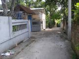 Phố Chùa Thông, Phường Trung Sơn Trầm, Thị Xã Sơn Tây