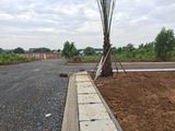 Lô Góc 2Mt 800M2 Xã Lộc An Huyện Long Thành