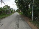 Đất Thổ Cư Giá Rẻ 240m2, Giá 2 Tỷ, Cần Bán Gấp, Hưng Long, Bình Chánh