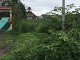 Đất Thổ Cư Xã Tân Quý Tây, Bình Chánh Giá Rẻ.