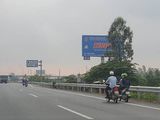 Bán Gấp 300m2 (10mx30m) Đất Quốc Lộ 50, Sát Quận 8, Shr