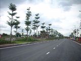 Bán Gấp Lô Biệt Thự Ven Sông, Đối Diện Chợ Bình Chánh