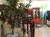Bán Nhà Đẹp Nhất Bùi Xương Trạch Quận Thanh Xuân.