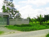 Kẹt Tiền Bán Gấp 900M2 Biệt Thự Nhà Vườn Chỉ 3Tr/m2 Mặt Tiền Đường Nhà Bè, Lh 0903698485