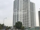 Chính Chủ Cho Thuê Chung Cư A14 Nam Trung Yên, Yên Hòa, Cầu Giấy 44-55-65-75m2 Lh: 0985.845.581