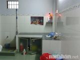 Nhà Cấp 4, Đường Nguyễn Thị Rành, Củ Chi