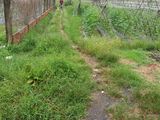 Bán Đất Nông Nghiệp Huyện Hóc Môn Giá Chỉ 450K/m2