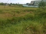 Chính Chủ, Bán Nhanh 1100M2 Ngang 30M Đất Mặt Tiền Hương Lộ 11, Nhà Vườn Chỉ 5,6 Tỷ, Pháp Lý Rõ Ràng