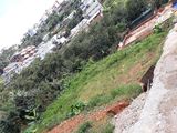 Bán Đất Đường Mai Hắc Đế, P6, Đà Lạt 161.68M2_Giá 1.85 Tỷ