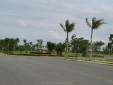 Đất Mặt Tiền Trần Văn Giàu, Bình Chánh