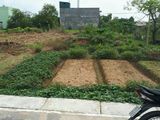 Bán Đất Tại Đường Lê Văn Lương, Nhà Bè, Hồ Chí Minh Diện Tích 576m2,70m2 Thổ Cư,1,98 Tỷ