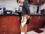 Bán Nhà Chính Chủ 34m2 3 Tầng Giá 1,25 Tỷ Dương Nội-Hà Đông.