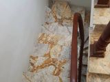 Bán Nhà Võ Thị Sáu, Quận Hai Bà Trưng,thiết Kế Lung Linh,40m,4 Tầng, Mặt Tiền 3,8m, Vị Trí Trung Tâm