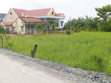 Bán Nhanh 12000M2, Shr, Giá Rẻ, Đường 6M, Shr, Nhà Bè