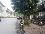 Bán Đất Mặt Phố Hoàng Cầu Mới 50M Mt 4.8, Giá 11.8 Tỷ