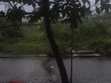 Bán Đất Trần Văn Trà, Có Nhà Cấp 4, Hòa Xuân, Cẩm Lệ, Đà Nẵng