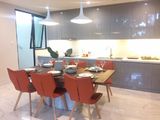 Cho Thuê Nhiều Biệt Thự Trong Phú Mỹ Hưng Giá Rẻ Nhất Thời Điểm, Lh: 0932665008 - 0932665009