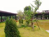 Cần Bán Các Căn Liền Kề Nam 32 Lô Góc Thoáng Đẹp, View Công Viên, Đường Trước Nhà 13m.