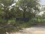 Hot! Đất Vườn Nhà Bè ,865m2, Giá Chỉ 2.5 Tr/m2, Đường 16m. Shr .Liên Hệ 0932032111