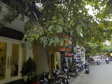 Bán Ks Mt Phan Đình Phùng, Phú Nhuận, 110m2, 4 Tầng, Giá 16.5 Tỷ