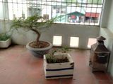 Nhà 5 Tầng Ngõ 322 Nhân Mỹ, Mỹ Đình. Giá Chỉ 2.35 Tỷ.
