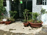 Bán Gấp Nhà Chợ Gò Đen 420 Triệu 1 Trệt 1 Lầu Sổ Hồng Riêng