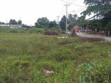Sang Lại Thửa Đất 1000m2 Bến Lức Gần Kcn Nhựt Chánh