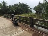 Mua Đất Cẩm Thanh 1000M2 View Dừa, Xây Homestay Villas Hội An Quảng Nam