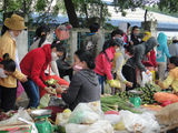 Đất Dự Án Đường An Phú Tây, Bình Chánh, Giá Chỉ 780Triệu/nền.