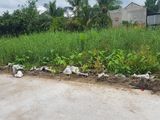 Bán Đất Chính Chủ!! Bán 2 Nền Diện Tích Lớn Thích Hợp Xây Nhà Trọ Hoặc Biệt Thự Sân Vườn Giá Rẻ Nhấ