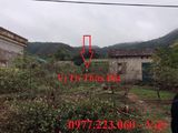 Cần Bán Đất Mặt Đường 334 Thôn Hạ Long,vân Đồn. Lh: Việt 0977223060