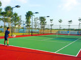 Dự Án Nhà Phố, Biệt Thự Nghỉ Dưỡng Swan Bay Đảo Đại Phước