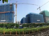 Mua Nhà Sang Đón Tết Tại Valencia Garden, Tặng Vé Du Lịch Hàn Quốc, Ck 4% Gtch, Ls 0% Trong 8 Tháng