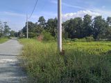 Mở Bán Đợt 1 Da Hóc Môn Riverside Đường Đỗ Văn Dậy Giá Đầu Tư Chỉ 10Tr/m2
