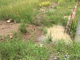 Cần Tiền Sang Lại 200 M2 Mặt Tiền Đường Ô Tô Xã Tân Quý Tây, Bình Chánh.